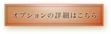 オプションの詳細はこちら