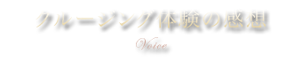 Voice | クルージング体験の感想